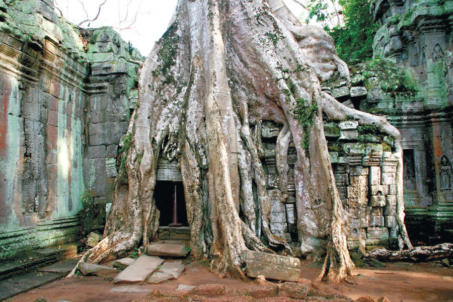 Siem Reap Angkor Trekking Tour 7 Days